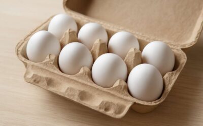 Reimagine Freshness: packaging eggs that protect and extend shelf life